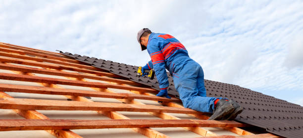 Best Roof Moss and Algae Removal  in Center, CO
